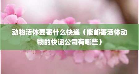 动物活体要寄什么快递（能邮寄活体动物的快递公司有哪些）