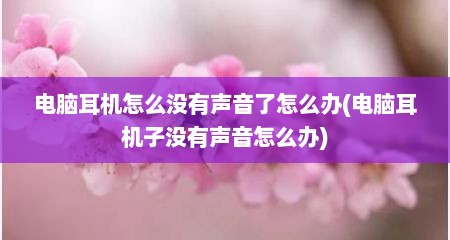 电脑耳机怎么没有声音了怎么办(电脑耳机子没有声音怎么办)