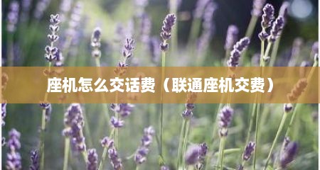 座机怎么交话费（联通座机交费）