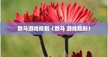 数马游戏规则（数马 游戏规则）