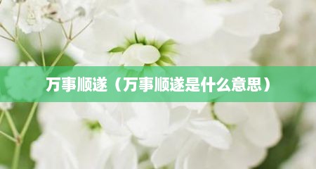 万事顺遂（万事顺遂是什么意思）