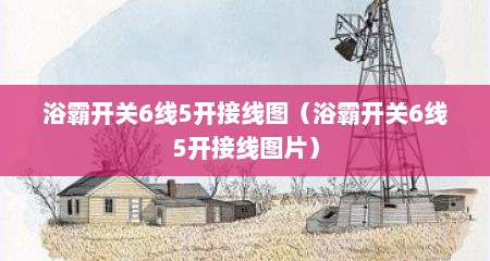浴霸开关6线5开接线图（浴霸开关6线5开接线图片）