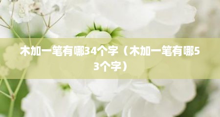 木加一笔有哪34个字（木加一笔有哪53个字）