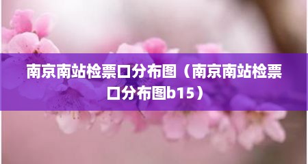 南京南站检票口分布图（南京南站检票口分布图b15）