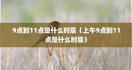9点到11点是什么时辰（上午9点到11点是什么时辰）