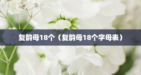 复韵母18个（复韵母18个字母表）
