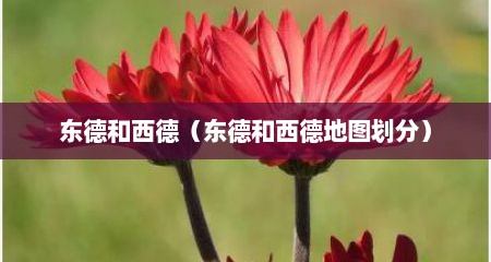 东德和西德（东德和西德地图划分）