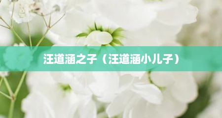 汪道涵之子（汪道涵小儿子）