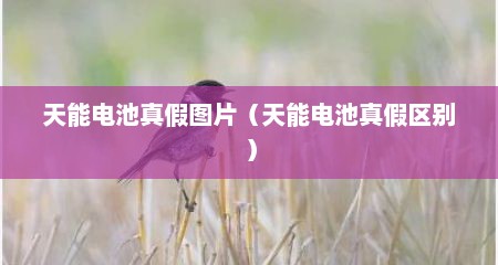 天能电池真假图片（天能电池真假区别）