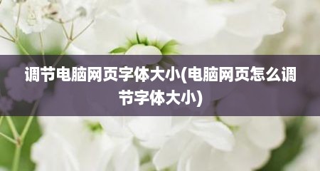 调节电脑网页字体大小(电脑网页怎么调节字体大小)