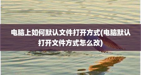 电脑上如何默认文件打开方式(电脑默认打开文件方式怎么改)