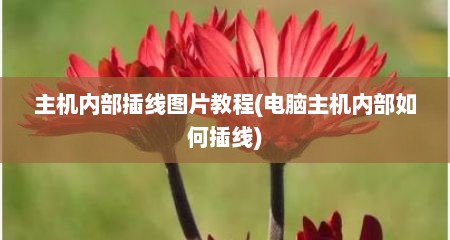 主机内部插线图片教程(电脑主机内部如何插线)