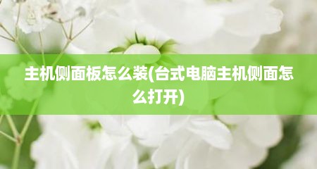 主机侧面板怎么装(台式电脑主机侧面怎么打开)