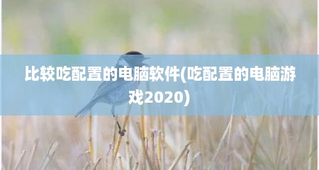 比较吃配置的电脑软件(吃配置的电脑游戏2020)