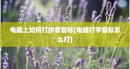 电脑上如何打拼音音标(电脑打字音标怎么打)
