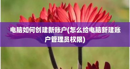 电脑如何创建新账户(怎么给电脑新建账户管理员权限)