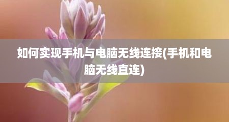 如何实现手机与电脑无线连接(手机和电脑无线直连)