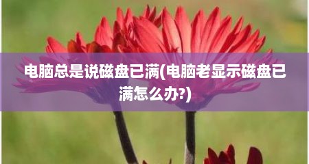 电脑总是说磁盘已满(电脑老显示磁盘已满怎么办?)