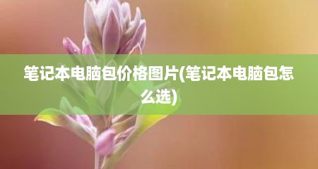 笔记本电脑包价格图片(笔记本电脑包怎么选)