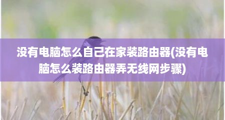 没有电脑怎么自己在家装路由器(没有电脑怎么装路由器弄无线网步骤)