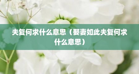 夫复何求什么意思（娶妻如此夫复何求什么意思）
