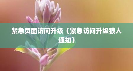 紧急页面访问升级（紧急访问升级狼人通知）