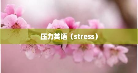 压力英语（stress）