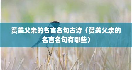 赞美父亲的名言名句古诗（赞美父亲的名言名句有哪些）