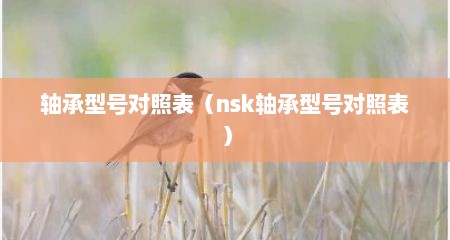 轴承型号对照表（nsk轴承型号对照表）