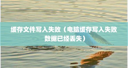 缓存文件写入失败（电脑缓存写入失败 数据已经丢失）