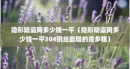 隐形防盗网多少钱一平（隐形防盗网多少钱一平304钢丝最粗的是多粗）