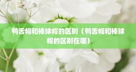 鸭舌帽和棒球帽的区别（鸭舌帽和棒球帽的区别在哪）