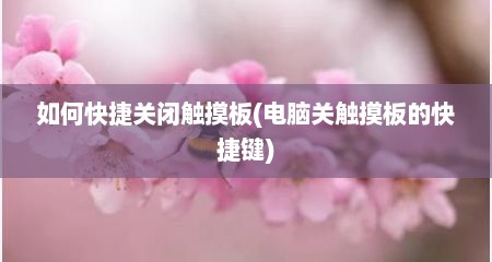 如何快捷关闭触摸板(电脑关触摸板的快捷键)