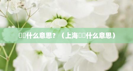 嬢嬢什么意思？（上海嬢嬢什么意思）
