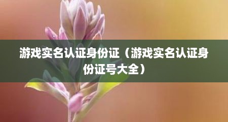 游戏实名认证身份证（游戏实名认证身份证号大全）
