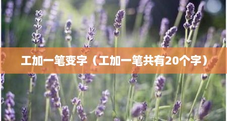 工加一笔变字（工加一笔共有20个字）