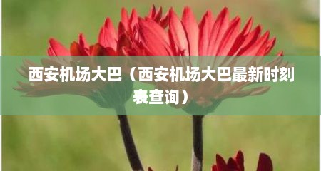 西安机场大巴（西安机场大巴最新时刻表查询）