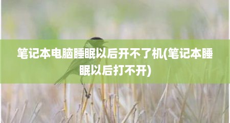 笔记本电脑睡眠以后开不了机(笔记本睡眠以后打不开)