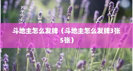 斗地主怎么发牌（斗地主怎么发牌3张5张）