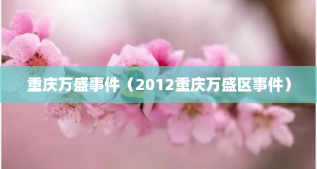 重庆万盛事件（2012重庆万盛区事件）