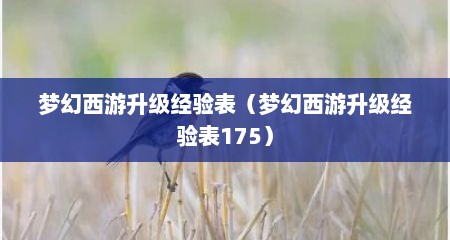 梦幻西游升级经验表（梦幻西游升级经验表175）