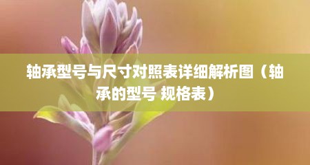轴承型号与尺寸对照表详细解析图（轴承的型号 规格表）