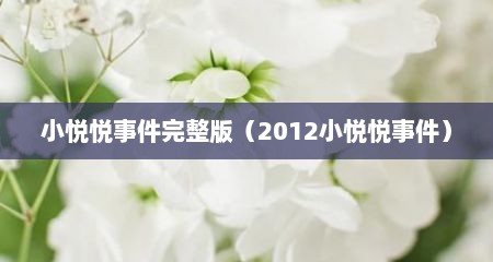 小悦悦事件完整版（2012小悦悦事件）