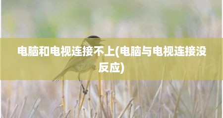 电脑和电视连接不上(电脑与电视连接没反应)