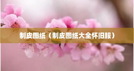 制皮图纸（制皮图纸大全怀旧服）