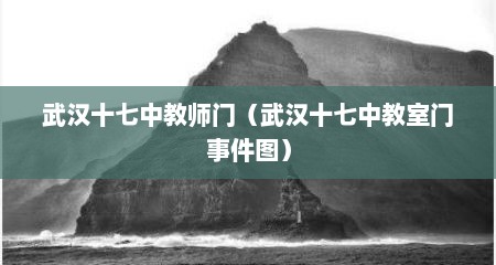 武汉十七中教师门（武汉十七中教室门事件图）
