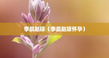 李晨赵琼（李晨赵琼怀孕）