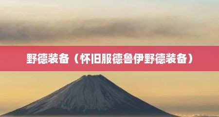 野德装备（怀旧服德鲁伊野德装备）