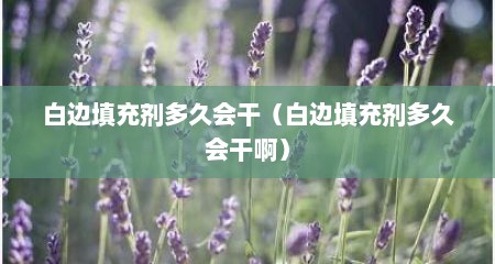白边填充剂多久会干（白边填充剂多久会干啊）