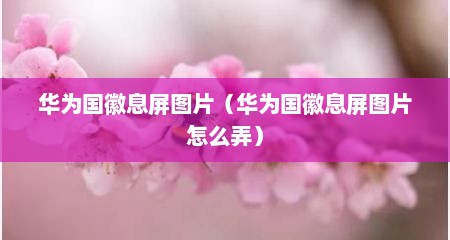 华为国徽息屏图片（华为国徽息屏图片怎么弄）